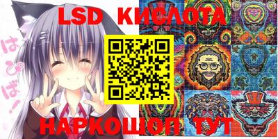 индика Будённовск