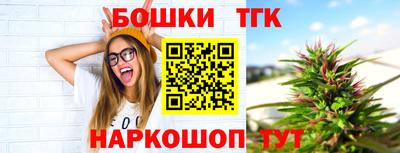 индика Будённовск