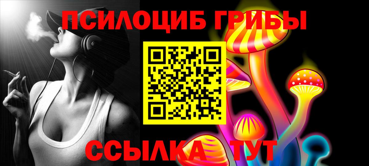 Галлюциногенные грибы Psilocybine cubensis  Галлюциногенные грибы мицелий  Вход с VPN  закладка  Новокуйбышевск 
